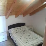 Bilo 4208d